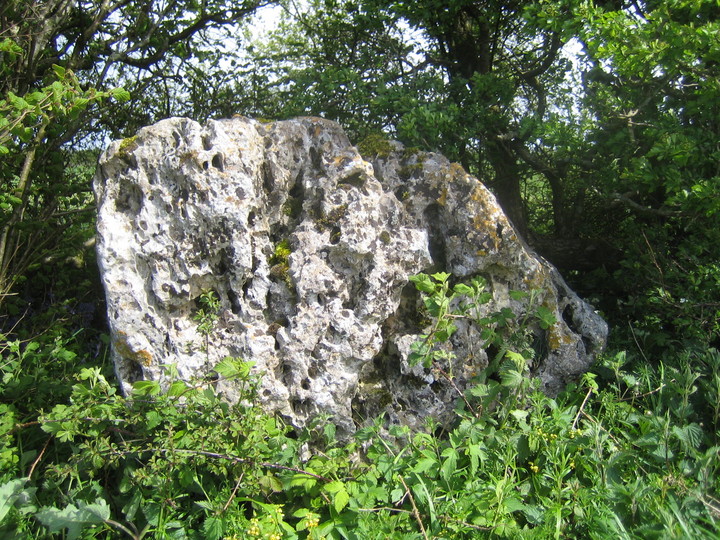 The Wishing Stone (Standing Stone / Menhir) by dorsetlass