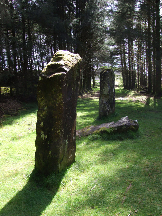 Dervaig B (Standing Stones) by Mr Hamhead