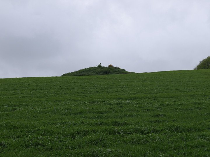 Wolfeton Clump (Round Barrow(s)) by formicaant