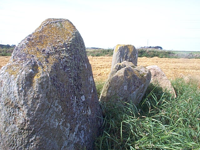 South Leylodge (Standing Stones) by Chris
