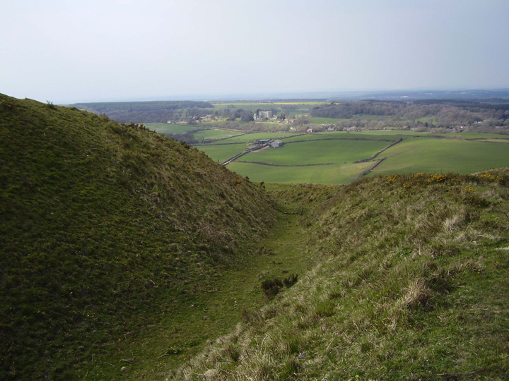 Flower's Barrow (Hillfort) by formicaant