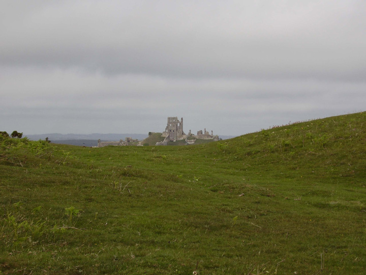 Corfe Castle (Sacred Hill) by formicaant