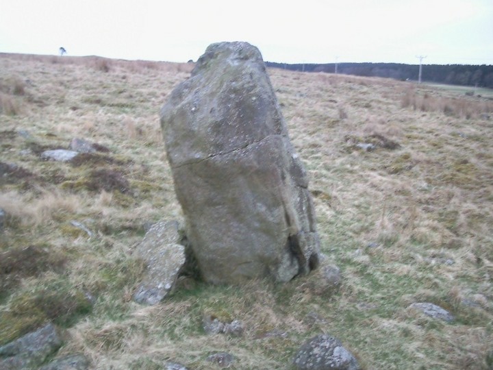 Bellmuir (Standing Stone / Menhir) by drewbhoy
