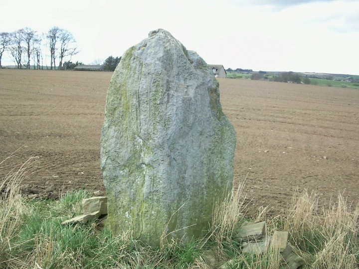 Monkshill (Standing Stone / Menhir) by drewbhoy