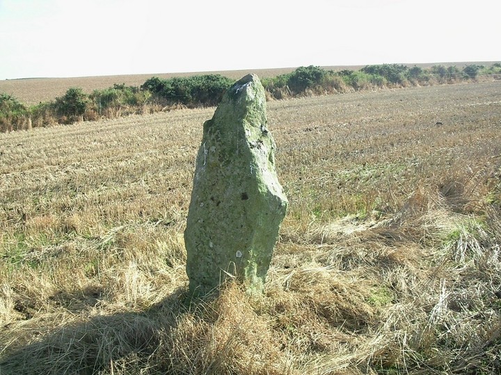 Skelmuir Hill and Grey Stane of Corticram (Standing Stones) by drewbhoy