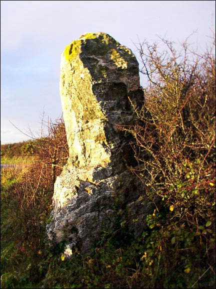 St. Eval Airfield Stone (Standing Stone / Menhir) by phil