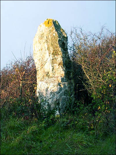 St. Eval Airfield Stone (Standing Stone / Menhir) by phil
