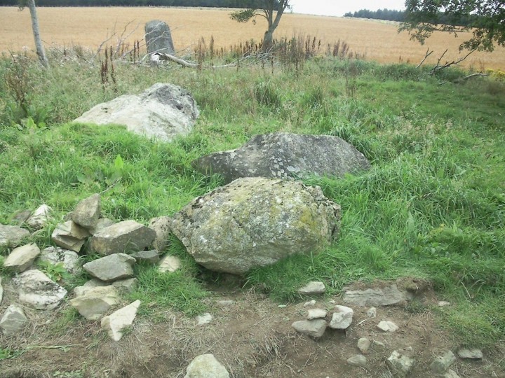 Druidstones (Stone Circle) by drewbhoy