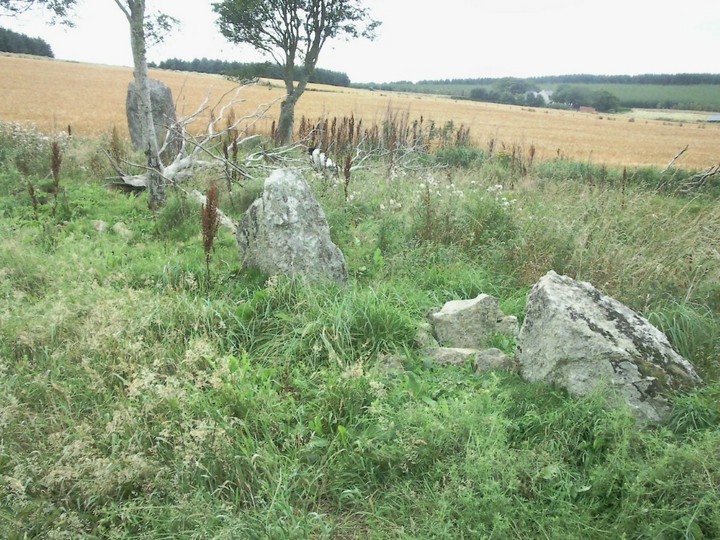 Druidstones (Stone Circle) by drewbhoy