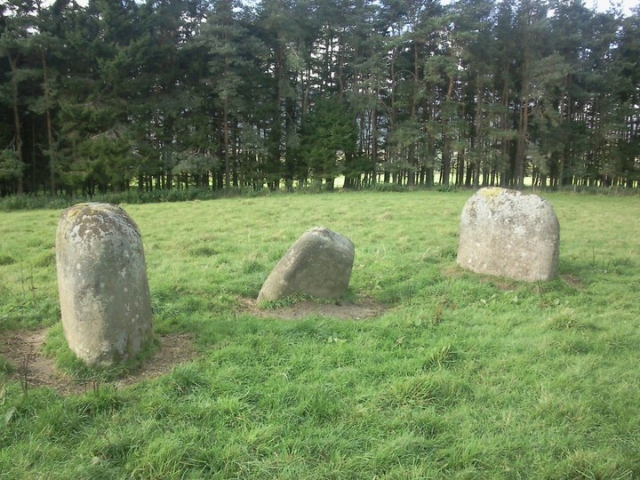 Fortingall (Stone Circle) by drewbhoy