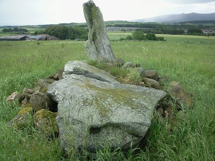 Inschfield (Stone Circle) by drewbhoy