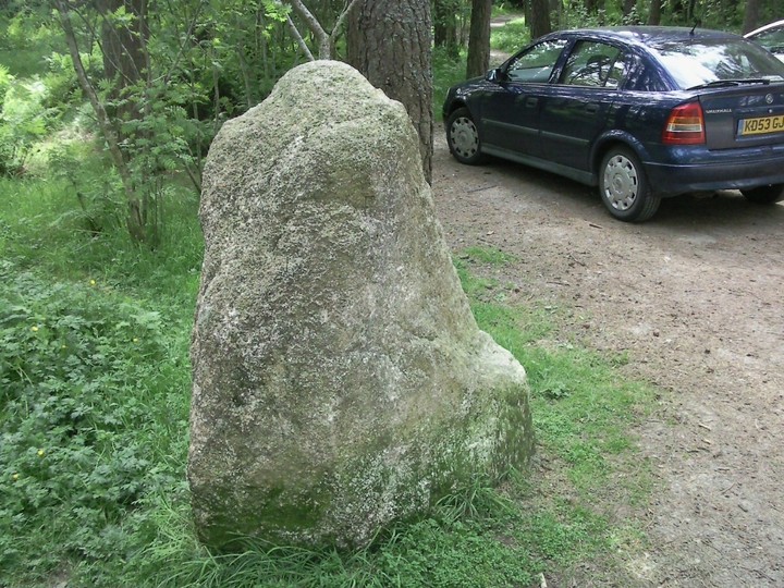 Gouk Stane, Bennachie (Standing Stone / Menhir) by drewbhoy