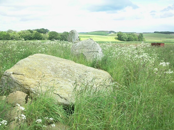 Old Rayne (Stone Circle) by drewbhoy