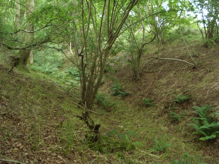 Membury Camp (Hillfort) by Chance
