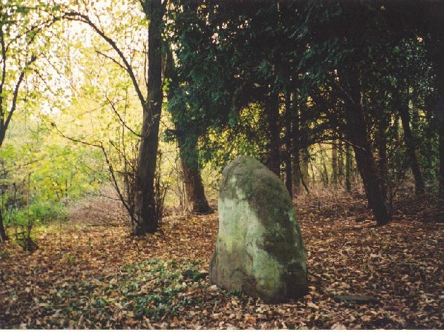 Cammo Stone (Standing Stone / Menhir) by Martin