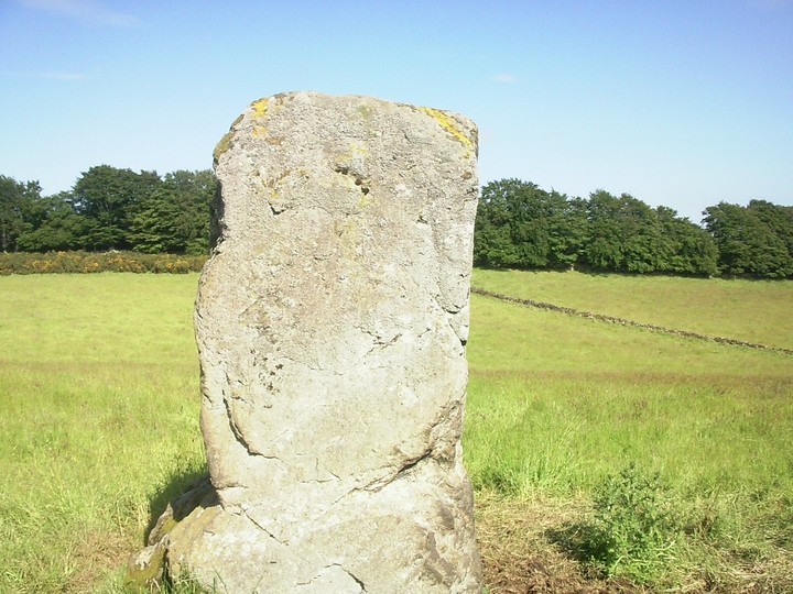 Westerton Of Petmathen (Standing Stone / Menhir) by drewbhoy