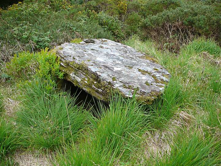 Knockane (Wedge Tomb) by Nucleus