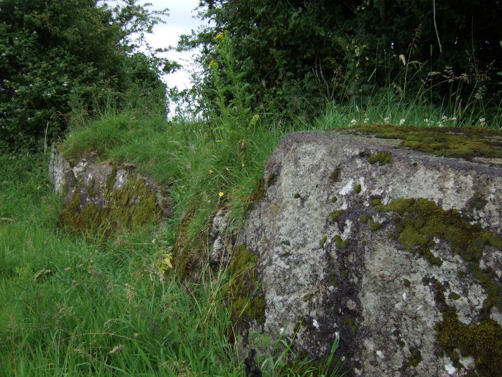 Lough Gur O (Stone Circle) by gjrk