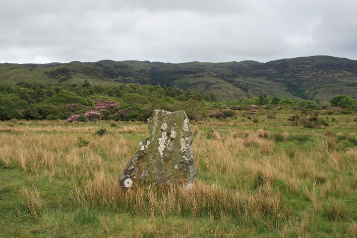 Lochbuie Standing Stone (Standing Stone / Menhir) by postman