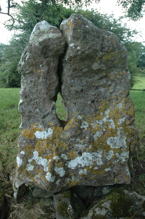 Grange / Lios, Lough Gur (Stone Circle) by ryaner