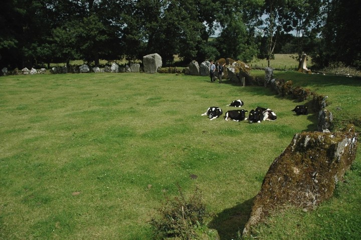 Grange / Lios, Lough Gur (Stone Circle) by ryaner