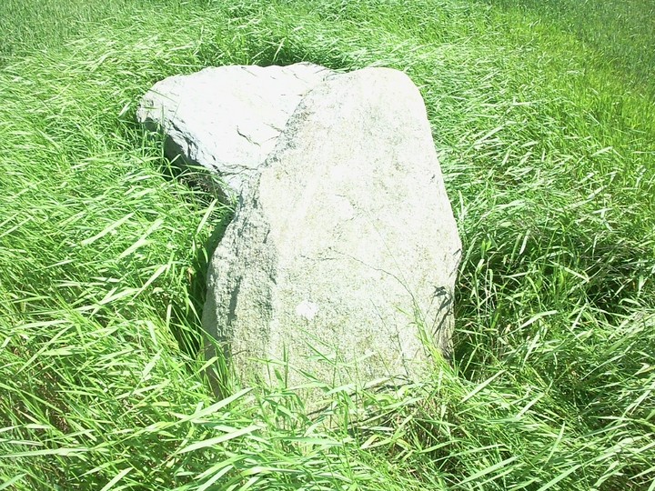 Harestane, Feith Hill (Stone Circle) by drewbhoy