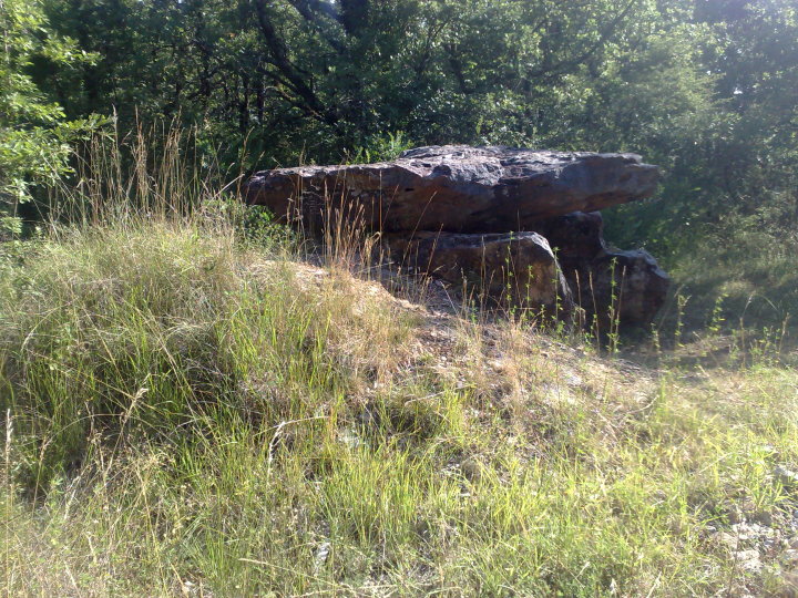 The Bertrandoune dolmen (Dolmen / Quoit / Cromlech) by juamei