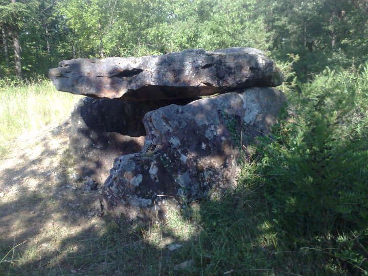 The Bertrandoune dolmen (Dolmen / Quoit / Cromlech) by juamei