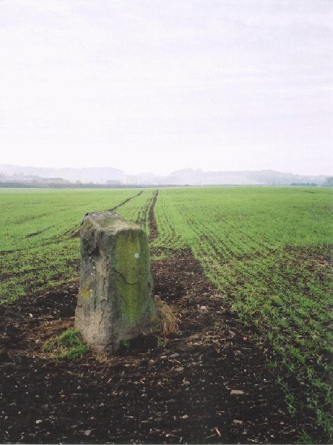Gogar Stone (Standing Stone / Menhir) by Martin