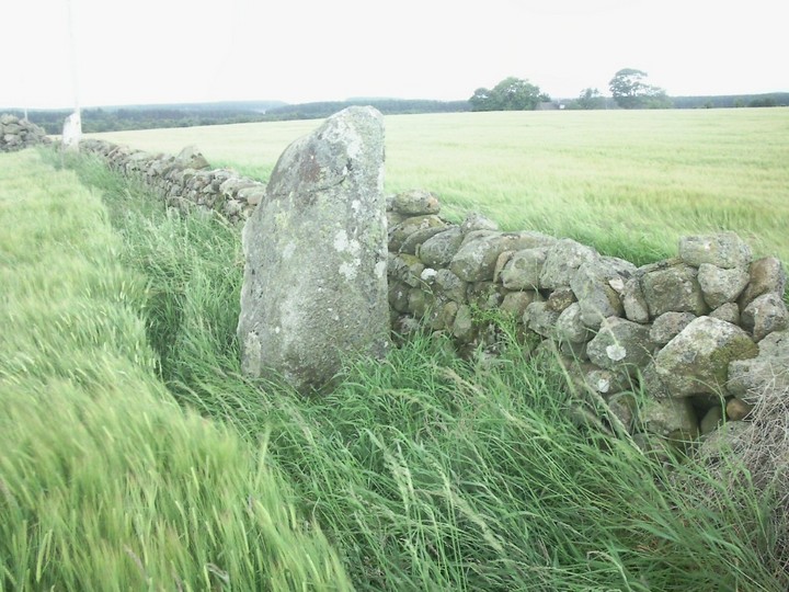 Springhill (Standing Stones) by drewbhoy