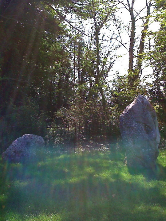 The Nine Stones of Winterbourne Abbas (Stone Circle) by robinintheuk