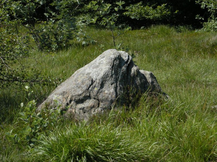 Faiallo's Standing Stone (Standing Stone / Menhir) by McGlen