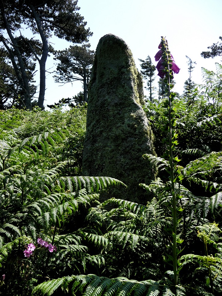 Long Rock (Standing Stone / Menhir) by thesweetcheat