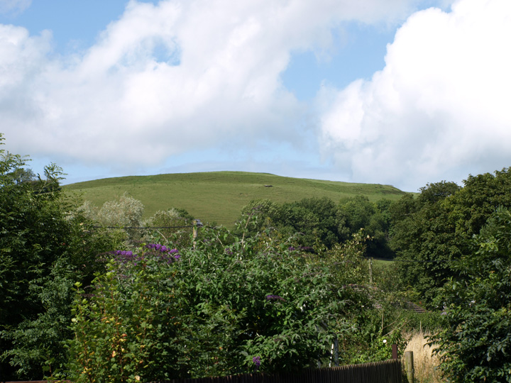 The Castle (Cattistock) (Hillfort) by formicaant