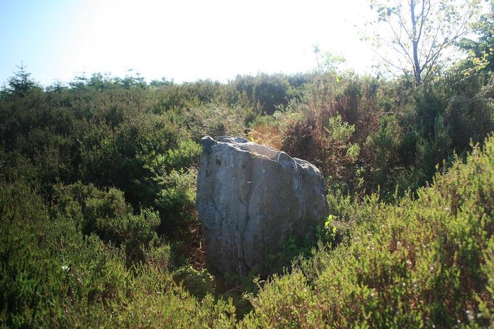 Llyn Dwr (Standing Stone / Menhir) by postman