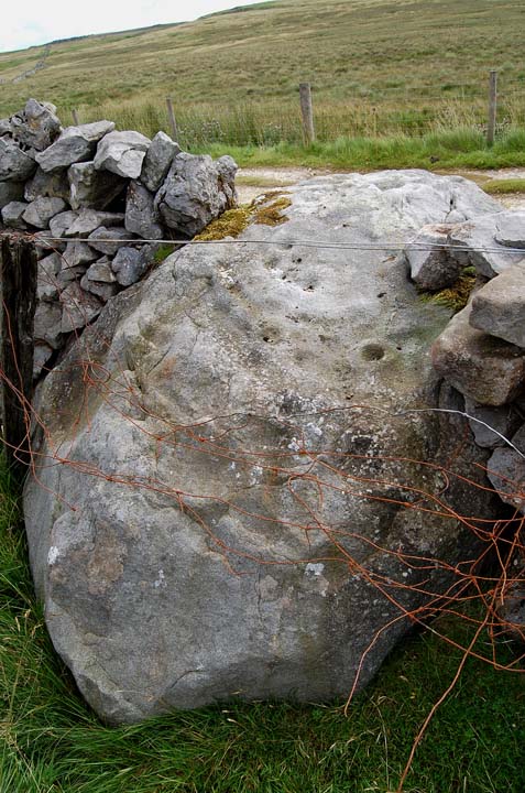 Skyreholme Walled Boulder (Cup Marked Stone) by fitzcoraldo