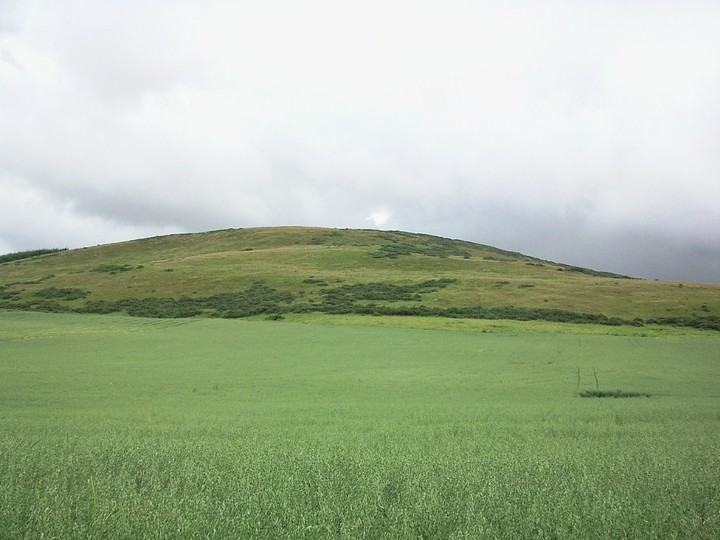 Hill Of Christ's Kirk (Hillfort) by drewbhoy