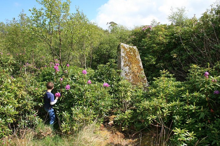 Gruline 2 (Standing Stone / Menhir) by postman