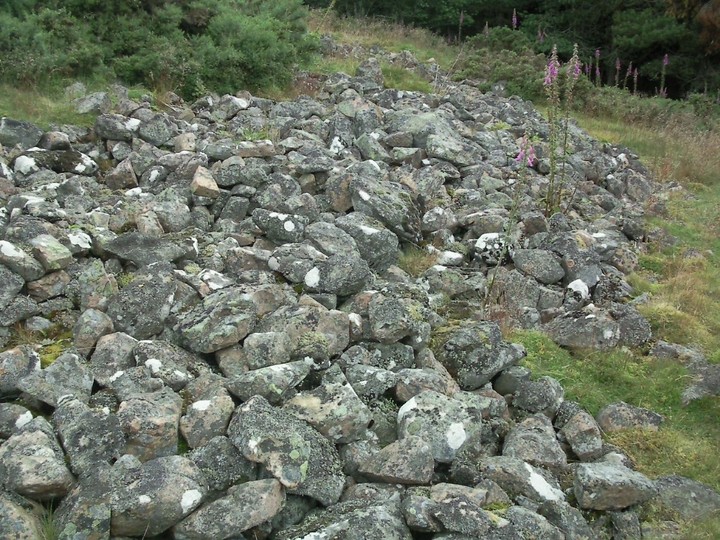 Cairn More (Hillfort) by drewbhoy