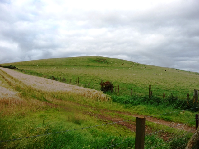 Hill Of New Leslie (Hillfort) by drewbhoy