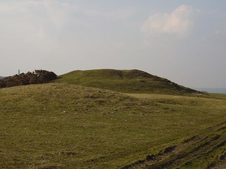 Bronkham Hill (Barrow / Cairn Cemetery) by formicaant