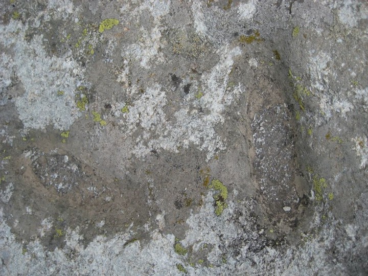 Roca Cruela (Engraved stone) by Ligurian Tommy Leggy