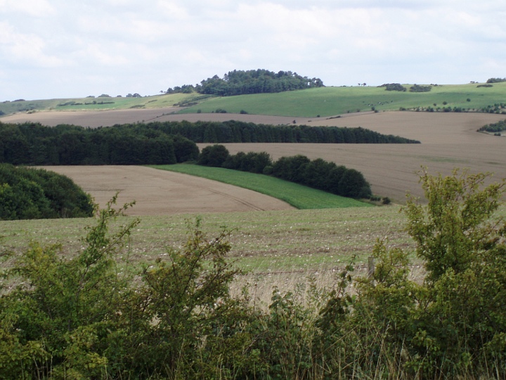Dorset Cursus (North to Martins Down) by UncleRob