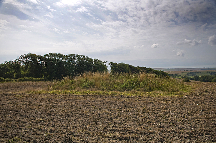 Plumpton Plain (Round Barrow(s)) by A R Cane