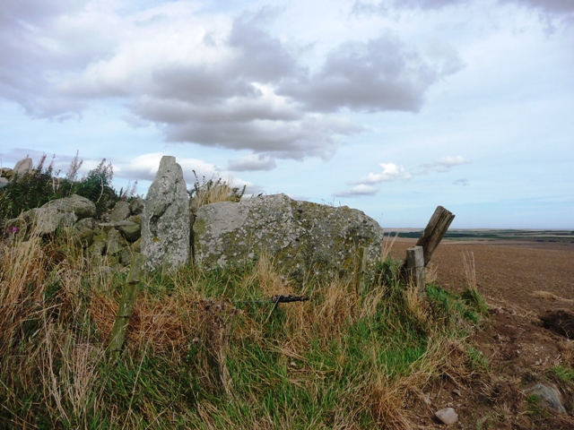 Hill of Fiddes (Stone Circle) by drewbhoy