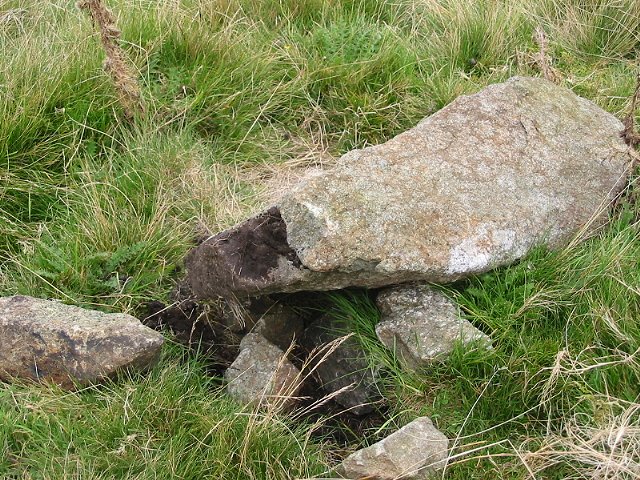 Cerrig Pryfaid (Stone Circle) by stubob