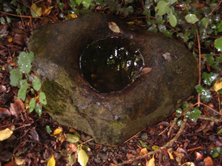 Glenaclara East (Bullaun Stone) by ryaner