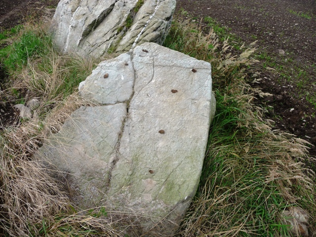 Pitglassie (Stone Circle) by drewbhoy