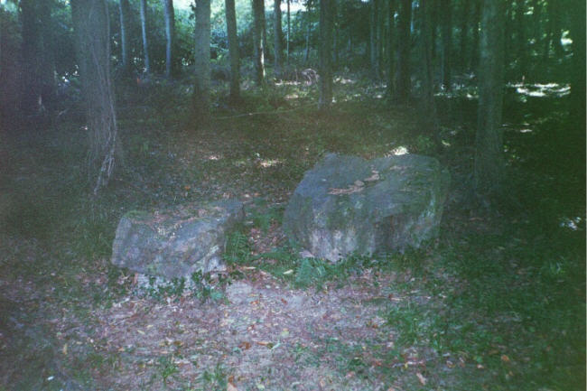 Rempstone Stone Circle (Stone Circle) by hamish