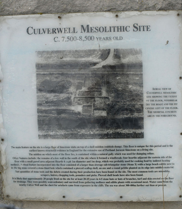 Culverwell (Mesolithic site) by formicaant